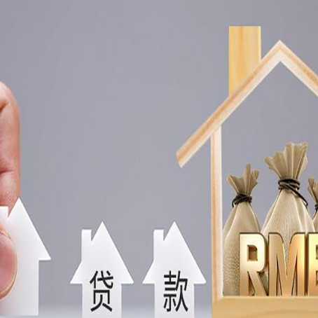 湘东贷款中介公司新渝启服怎么样